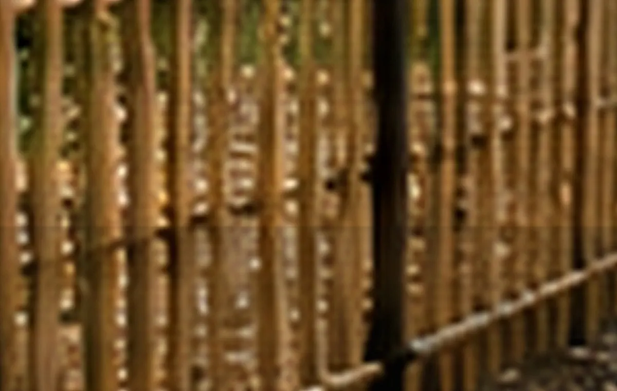 Bambu Kargı Separator doğal ürün görseli